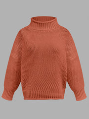 Turtleneck Long Sleeve Sweater